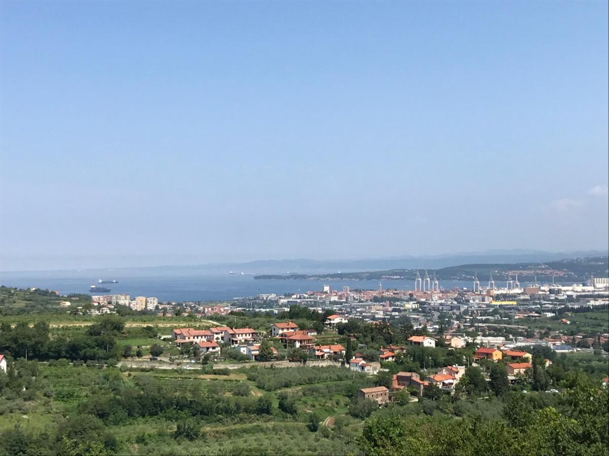 Apartment Nona Ervina Capodistria Esterno foto