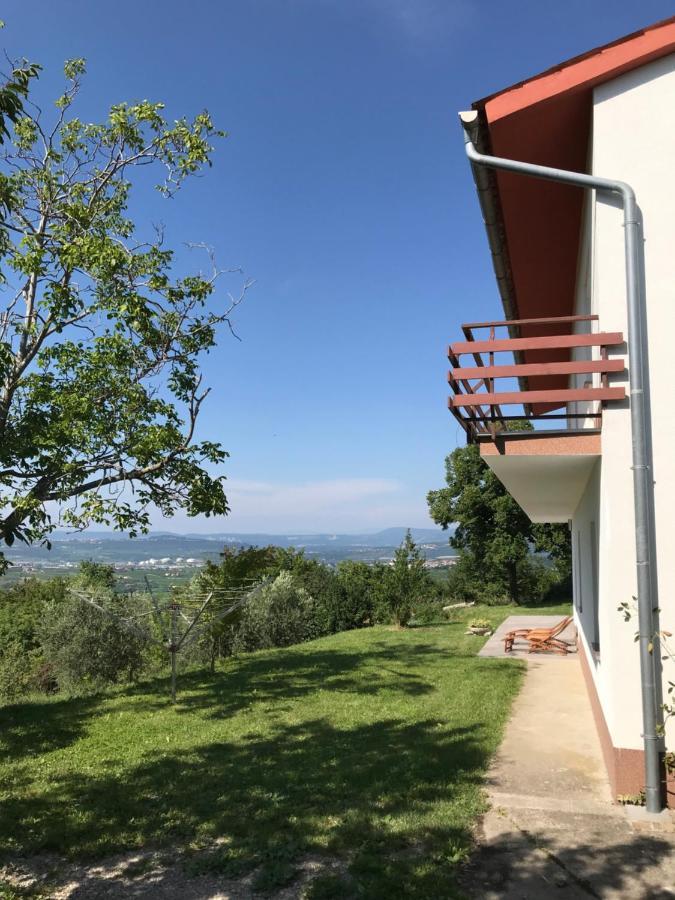 Apartment Nona Ervina Capodistria Esterno foto