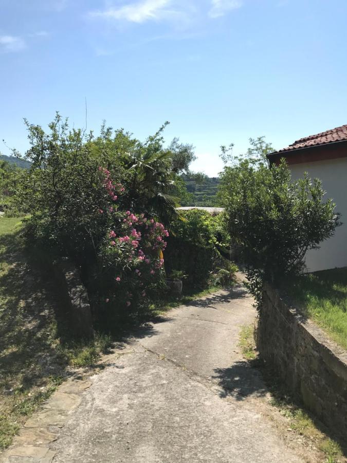 Apartment Nona Ervina Capodistria Esterno foto
