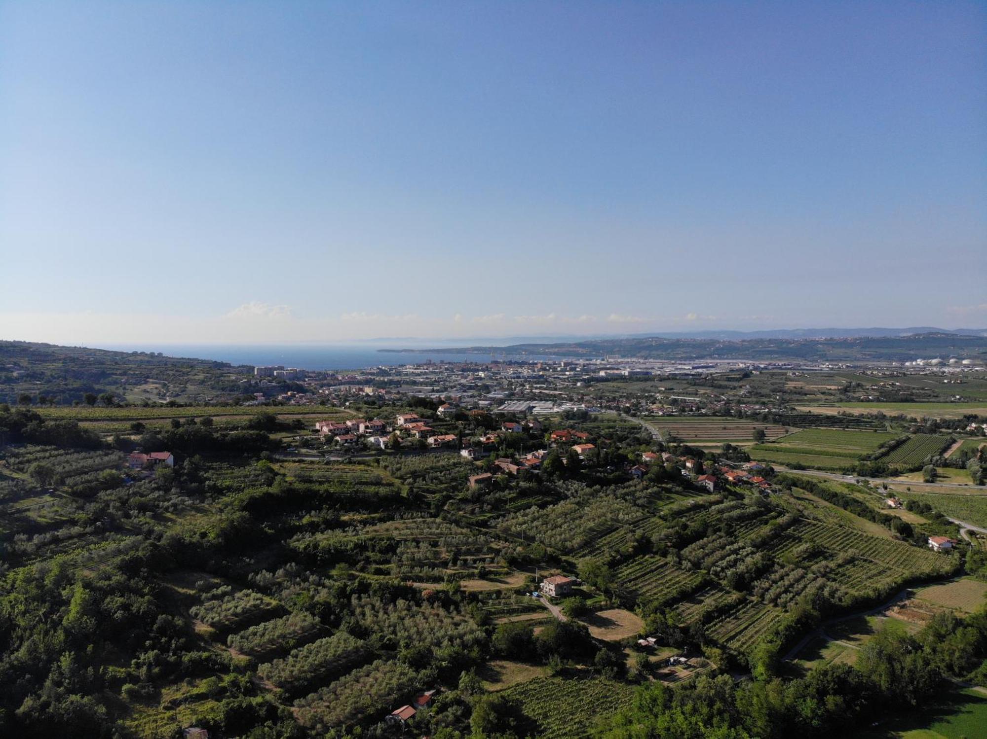 Apartment Nona Ervina Capodistria Esterno foto